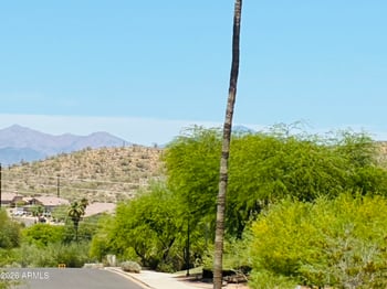 11682 Saguaro Blvd #E, Fountain Hills, AZ 85268