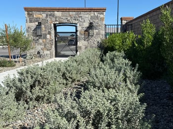 1173 Palm Beach Dr, Chandler, AZ 85249