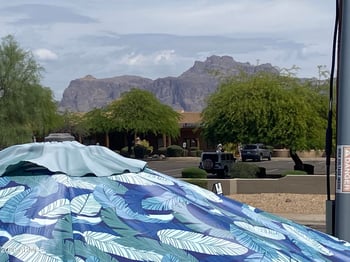 1175 Kiowa Cir, Apache Junction, AZ 85119