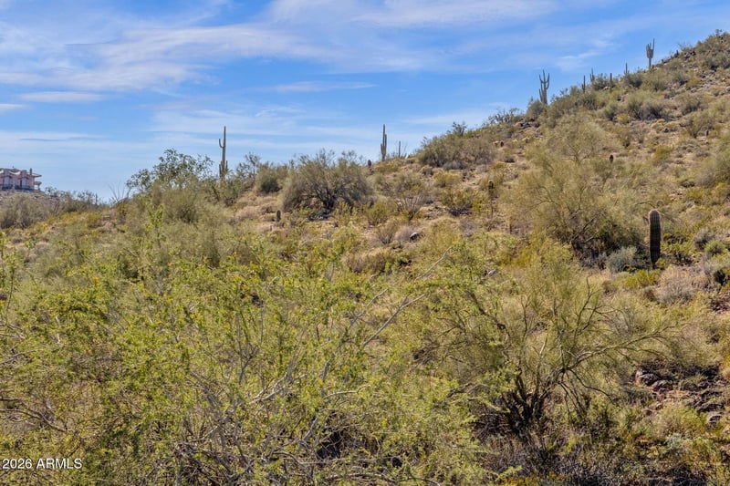 11760 Sunset Vista Dr #42, Fountain Hills, AZ 85268