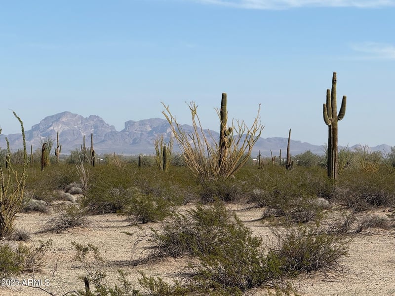 1180 557th Ave #-, Tonopah, AZ 85354