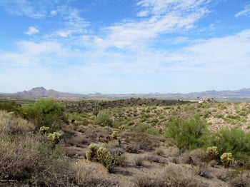 11800 N Thirsty Earth Trl #22, Fort Mcdowell, AZ 85264