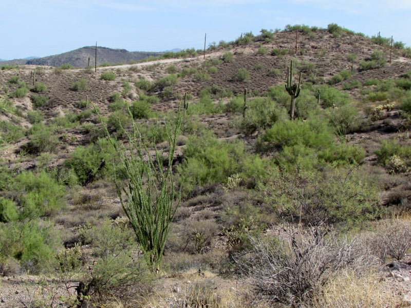 11800 N Thirsty Earth Trl #22, Fort Mcdowell, AZ 85264