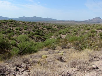 11800 N Thirsty Earth Trl #22, Fort Mcdowell, AZ 85264