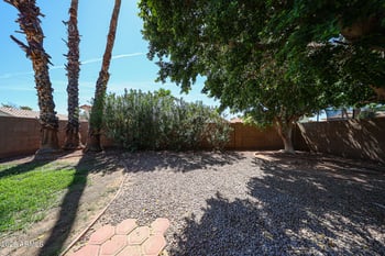 1183 W Bluebird Dr, Chandler, AZ 85286