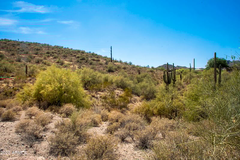 11888 Sunset Vista Dr #38, Fountain Hills, AZ 85268