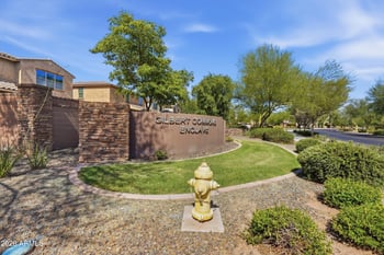 119 E Chelsea Ln, Gilbert, AZ 85295