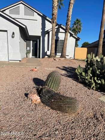 1193 87th St, Scottsdale, AZ 85257