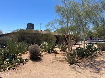 1201 E Desert Park Ln, Phoenix, AZ 85020