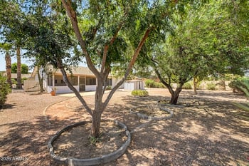 12011 Tomi Dr, Phoenix, AZ 85044