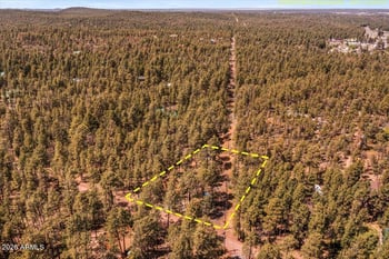 1204 Flores Dr, Show Low, AZ 85901