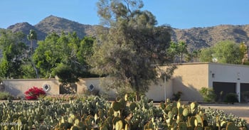 12054 Tonalea Dr, Phoenix, AZ 85044