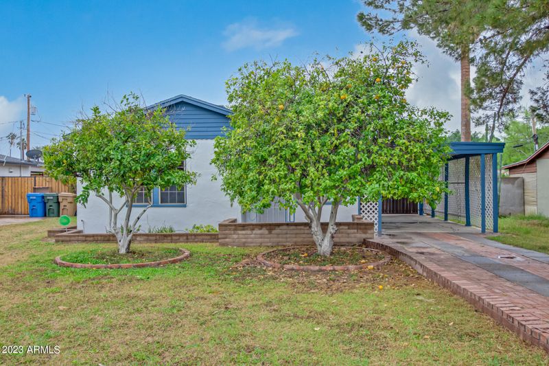 1207 E Minnezona Ave, Phoenix, AZ 85014