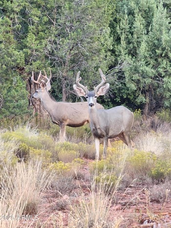 121 Mallard Dr #90, Sedona, AZ 86336