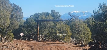 12120 9 Shooter -- #31, Williams, AZ 86046