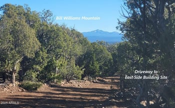 12120 9 Shooter -- #31, Williams, AZ 86046