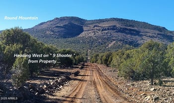 12120 9 Shooter -- #31, Williams, AZ 86046