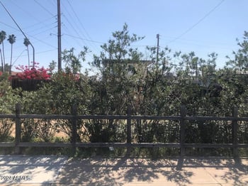 1217 6th Ave #98, Mesa, AZ 85202