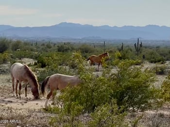 12198 E Doubletree Ranch Rd, Scottsdale, AZ 85259