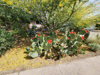 1222 Wesleyan Dr, Tempe, AZ 85282