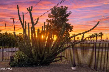 12236 Pebble Beach Dr, Sun City, AZ 85351