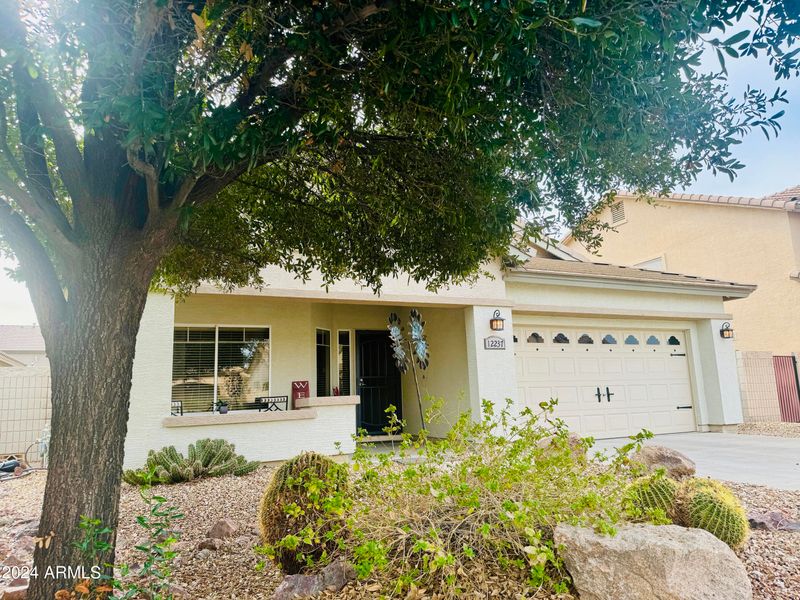 12237 W Monroe St, Avondale, AZ 85323