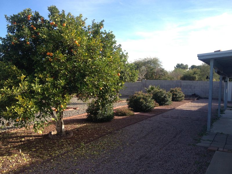 12245 N 38th St, Phoenix, AZ 85032
