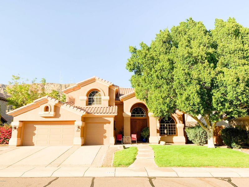 1228 E Squawbush Pl, Phoenix, AZ 85048