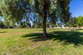 1231 Bluebell Ln, Tempe, AZ 85288