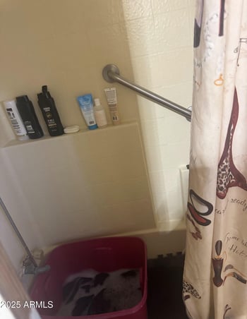 1231 Palo Verde St, Mesa, AZ 85209