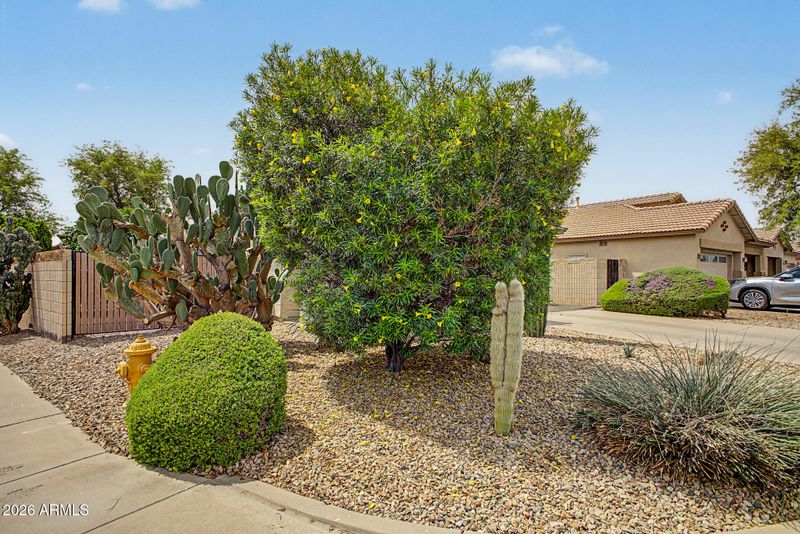 12351 W Hadley St, Avondale, AZ 85323