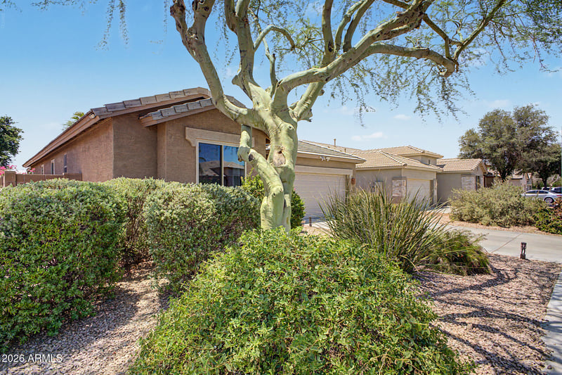 12377 Harrison St, Avondale, AZ 85323