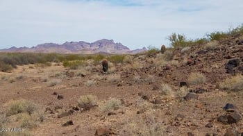 12401 451st Ave #-, Tonopah, AZ 85354