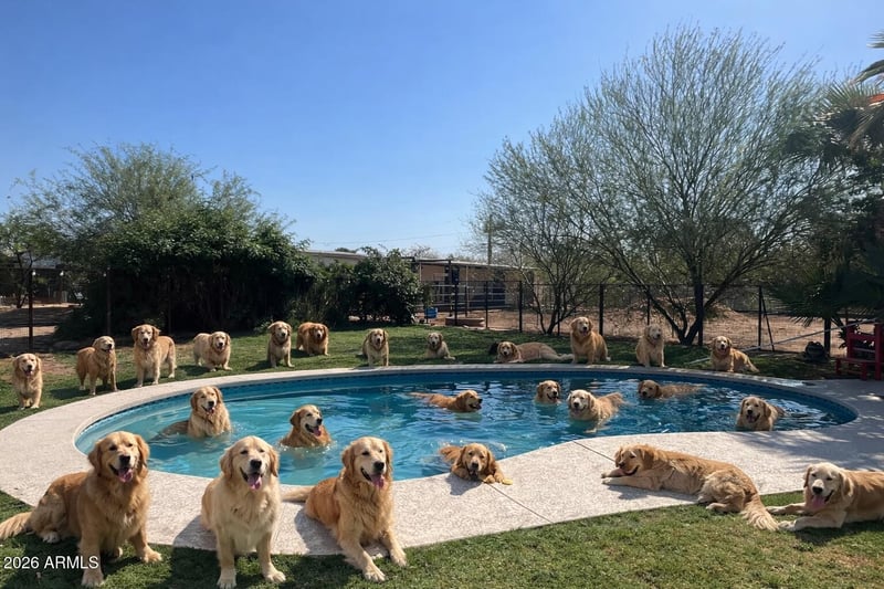 12423 64th St, Scottsdale, AZ 85254