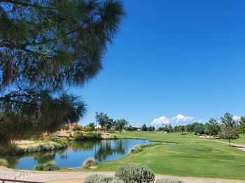12441 Toreador Dr, Sun City West, AZ 85375