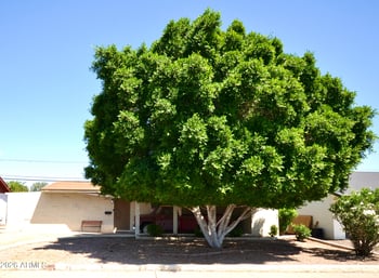 12443 25th Ave, Phoenix, AZ 85029