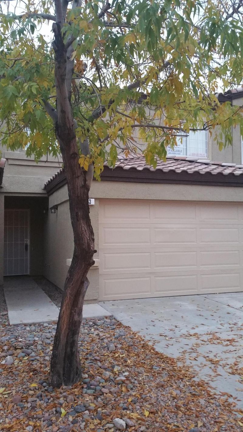 125 S 56th St #113, Mesa, AZ 85206