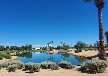 12518 Prospect Dr, Sun City West, AZ 85375