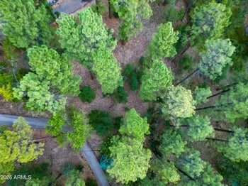 1260 Lakeside Trl, Show Low, AZ 85901