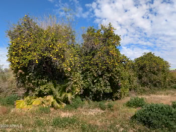 12630 Vallejo St #-, Chandler, AZ 85249