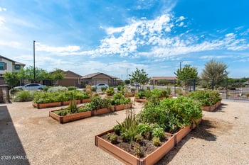 12637 143rd Dr, Surprise, AZ 85379