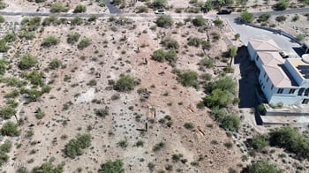 12642 18th St #-, Phoenix, AZ 85022