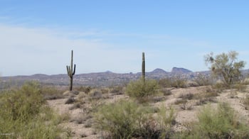 12812 N Vista Del Oro St #24, Fort Mcdowell, AZ 85264