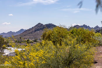 12815 19th St, Phoenix, AZ 85022