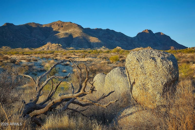 12882 Parkview Ln, Scottsdale, AZ 85255