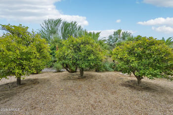 12909 W Pontiac Dr, Sun City West, AZ 85375