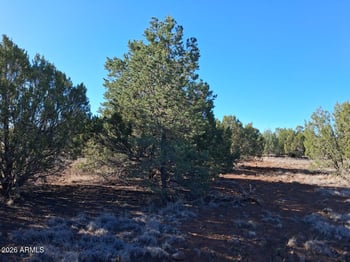 1294 Geronimo Dr #-, Show Low, AZ 85901