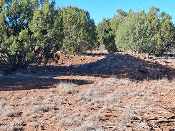 1294 Geronimo Dr #-, Show Low, AZ 85901