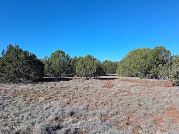 1294 Geronimo Dr #-, Show Low, AZ 85901