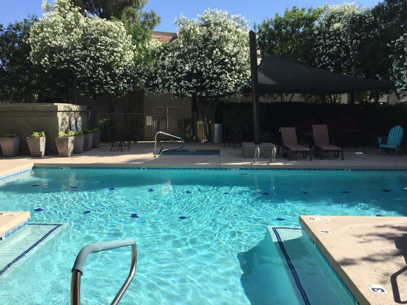 1295 N Ash St #216, Gilbert, AZ 85233